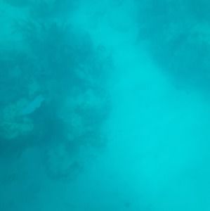 Meet your Posher, Kay